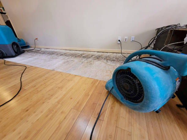 Professional Basement Flood Cleanup technician working in Merrimack, NH
